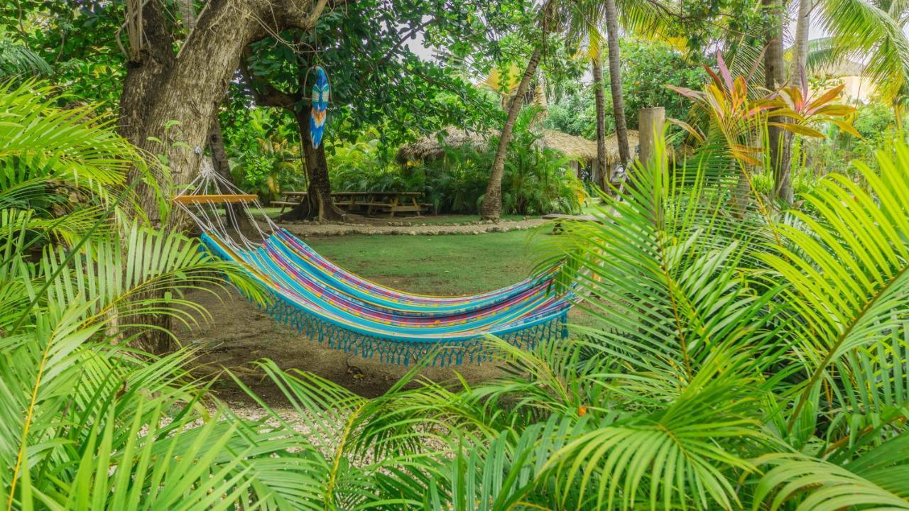 Los Corales Beach Village プンタ・カナ エクステリア 写真